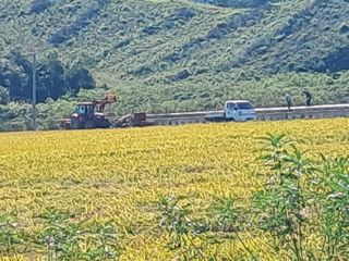 조명희님의 자유주제 · 자유게시판 작성글 사진