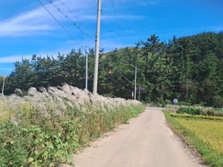 조명희님의 자유주제 · 자유게시판 작성글 사진