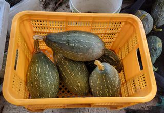 김중언님의 작성글 사진