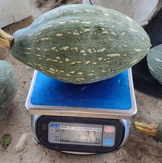 김중언님의 작성글 사진