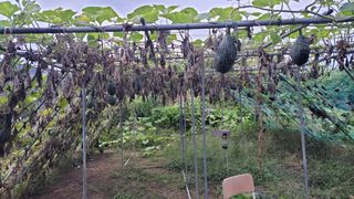 김중언님의 작성글 사진