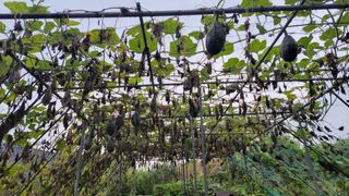 김중언님의 작성글 사진