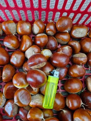 유옥자님의 작성글 사진