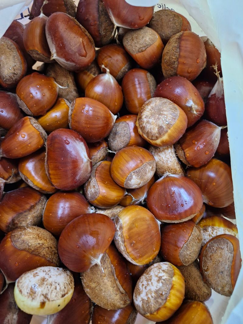 유옥자님의 장터 판매 상품 [햇밤 1kg] 첨부 사진