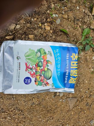 경달현님의 작성글 사진