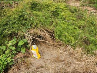 이창신님의 자유주제 · 자유게시판 작성글 사진