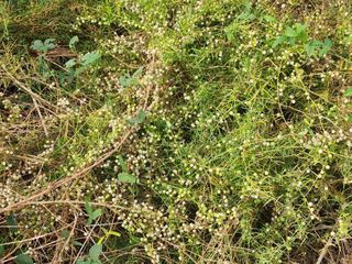 이창신님의 자유주제 · 자유게시판 작성글 사진