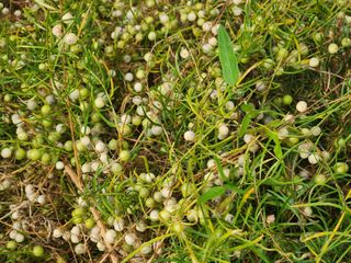 이창신님의 자유주제 · 자유게시판 작성글 사진