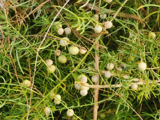 이창신님의 자유주제 · 자유게시판 작성글 사진