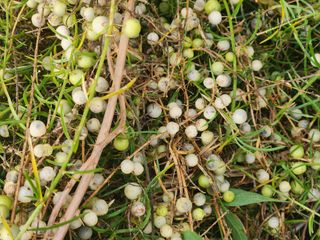 이창신님의 자유주제 · 자유게시판 작성글 사진