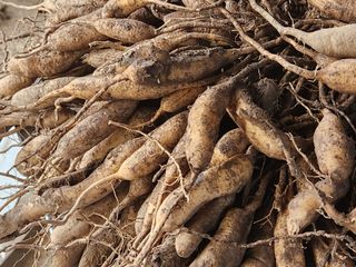 이창신님의 자유주제 · 자유게시판 작성글 사진