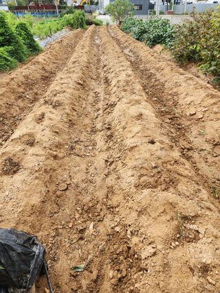 눈꽃처럼님의 자유주제 · 자유게시판 작성글 사진