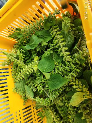 정병무님의 자유주제 · 자유게시판 작성글 사진