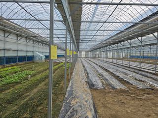 JWD670님의 10월 내 농작물 자랑하기 · 참여글 작성글 사진