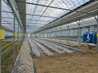 JWD670님의 10월 내 농작물 자랑하기 · 참여글 작성글 사진