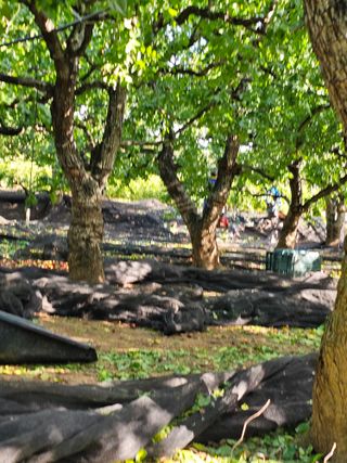 배성은365님의 10월 내 농작물 자랑하기 · 참여글 작성글 사진