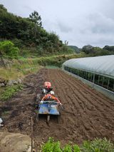 팜모닝 10월 내 농작물 자랑하기·참여글 게시글 이미지