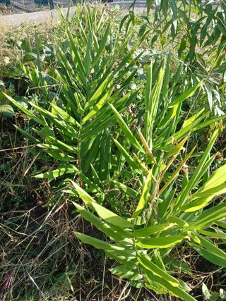 농사정보배우고싶어요님의 자유주제 · 자유게시판 작성글 사진