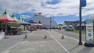 서은숙님의 배추 · 영농일지 작성글 사진