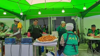 서은숙님의 배추 · 영농일지 작성글 사진