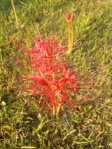 팜모닝 자유주제·자유게시판 게시글 이미지