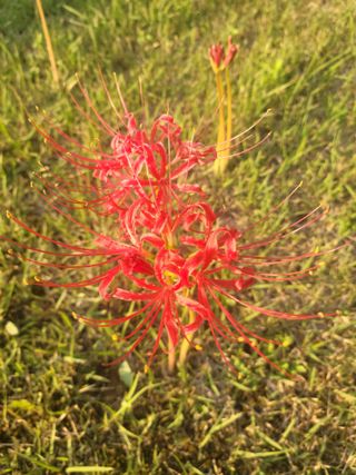 주동식님의 자유주제 · 자유게시판 작성글 사진