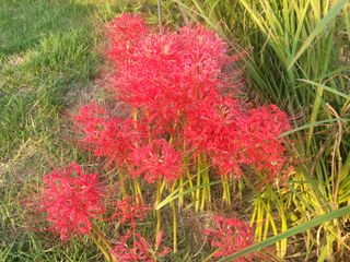 주동식님의 자유주제 · 자유게시판 작성글 사진