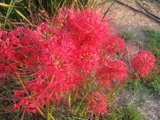 주동식님의 자유주제 · 자유게시판 작성글 사진