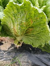 팜모닝 자유주제·사진전 게시글 이미지