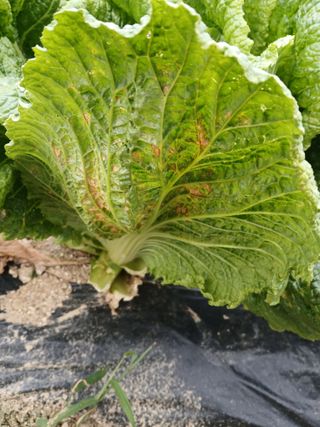 호박16023님의 자유주제 · 사진전 작성글 사진