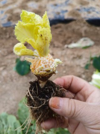 호박16023님의 자유주제 · 사진전 작성글 사진