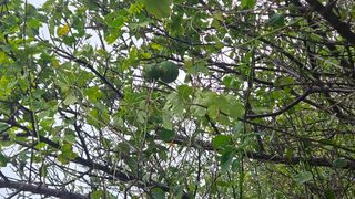 양간다리님의 자유주제 · 자유게시판 작성글 사진