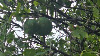 양간다리님의 자유주제 · 자유게시판 작성글 사진