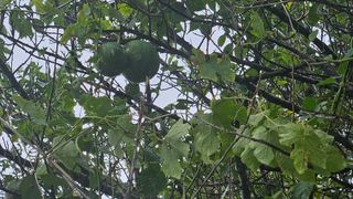 양간다리님의 자유주제 · 자유게시판 작성글 사진