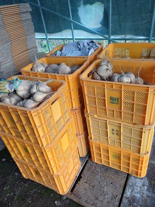 유석범님의 작성글 사진