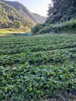 유석범님의 작성글 사진