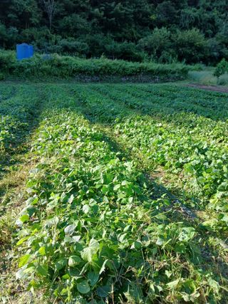 유석범님의 작성글 사진