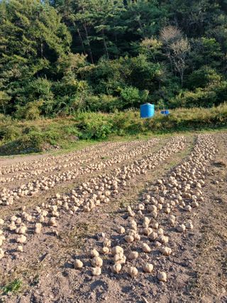 유석범님의 작성글 사진