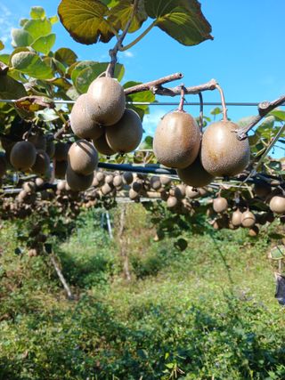 이동재님의 기타작물 · 영농일지 작성글 사진