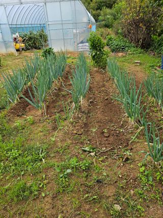 최만재님의 자유주제 · 자유게시판 작성글 사진