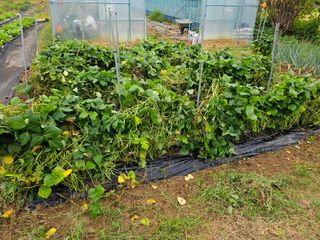 최만재님의 자유주제 · 자유게시판 작성글 사진