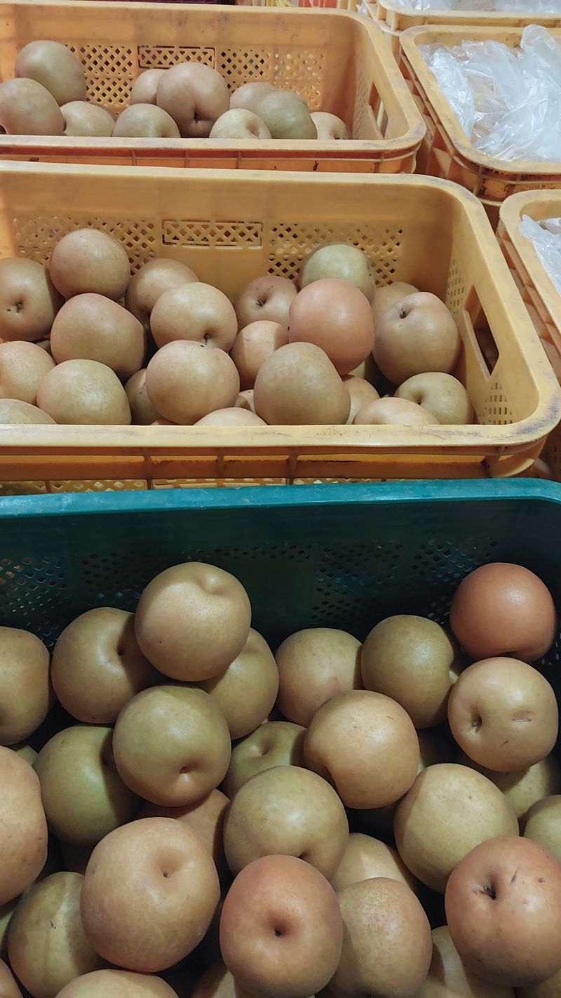 손경식드림농장님의 장터 판매 상품 [배즙50개한박스(완판)] 첨부 사진