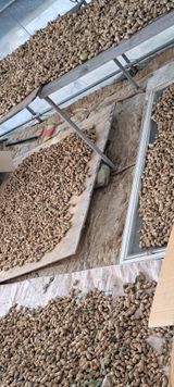 팜모닝 10월 내 농작물 자랑하기·참여글 게시글 이미지