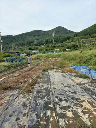 한천수님의 자유주제 · 자유게시판 작성글 사진