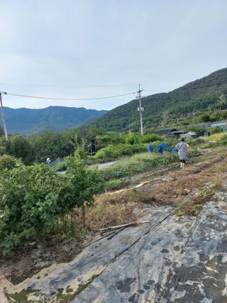 한천수님의 자유주제 · 자유게시판 작성글 사진