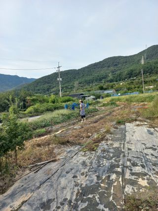 한천수님의 자유주제 · 자유게시판 작성글 사진