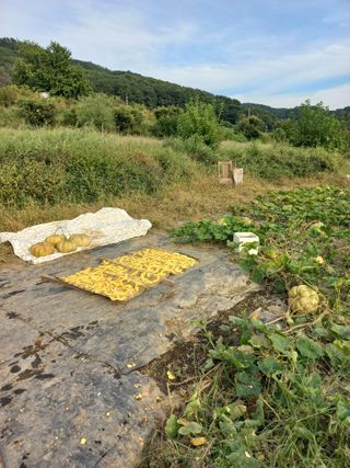 한천수님의 자유주제 · 자유게시판 작성글 사진