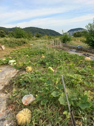 한천수님의 자유주제 · 자유게시판 작성글 사진