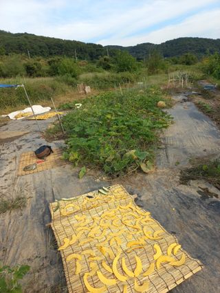 한천수님의 자유주제 · 자유게시판 작성글 사진