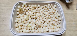 삼례텃밭지기님의 자유주제 · 자유게시판 작성글 사진